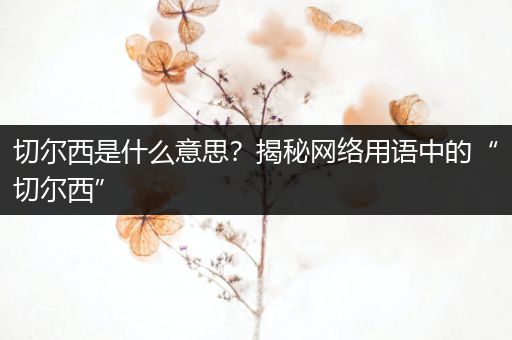 切尔西是什么意思？揭秘网络用语中的“切尔西”